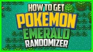 I was playing a pokemon emerald rom hack with a randomizer : r/pokemon
