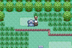 Pokemon Emerald Chaos Ambulation
