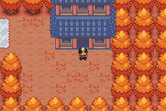 Pokémon FireRed Randomizer +DOWNLOAD 