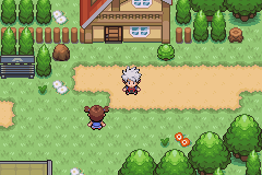 Pokemon Dark Worship gba rom