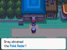 Pokemon Renegade Platinum Screenshot