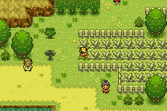 Pokemon Ultra Shiny Gold Sigma Screenshot