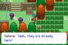 Pokemon Sors Screenshot